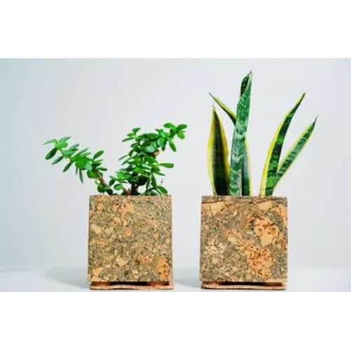 CORK TABLE TOP PLANTERS FEATHER PLANTER 9C23304