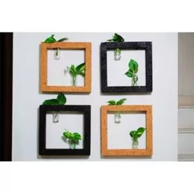 Cork WALL FRAME TEST TUBE FRAME PLANTER 9C23213