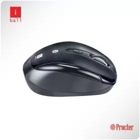 iBall FREEGO BT21 Wireless Optical Mouse